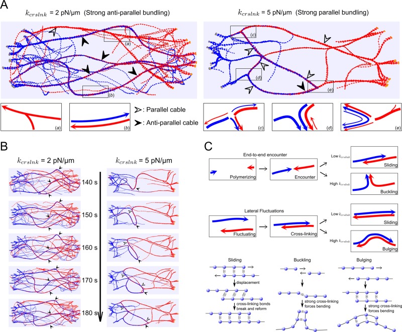 FIGURE 5: