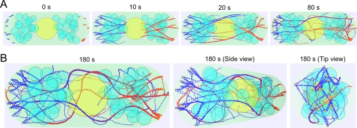 FIGURE 2: