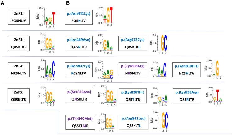 Figure 5