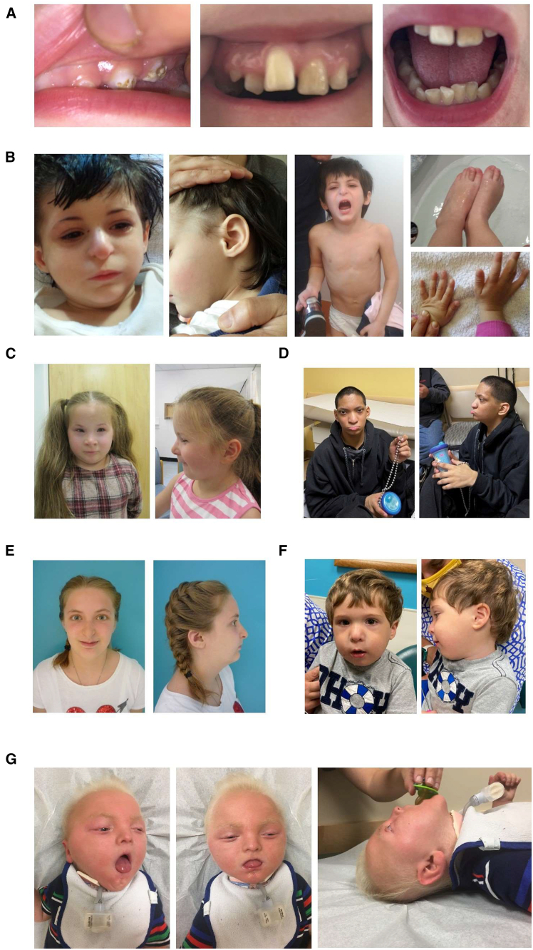 Figure 3