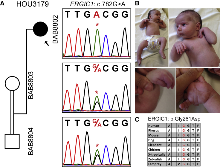 Figure 5