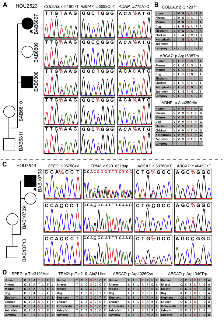 Figure 4