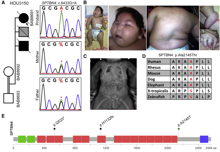 Figure 6