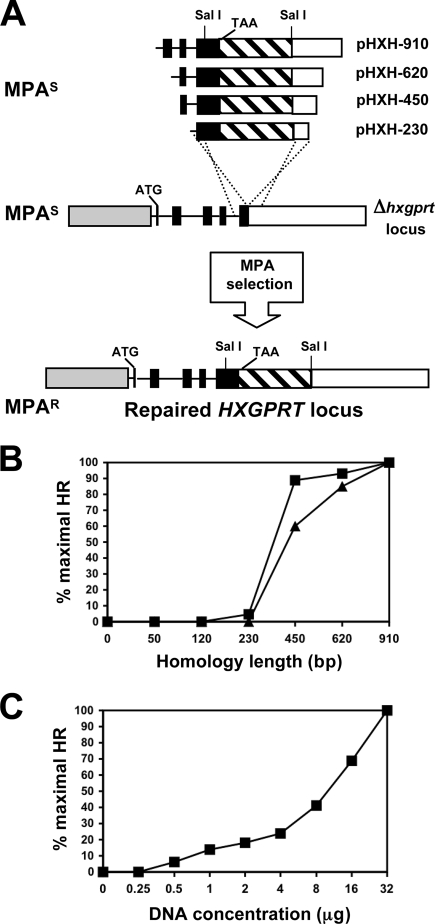 FIG. 5.