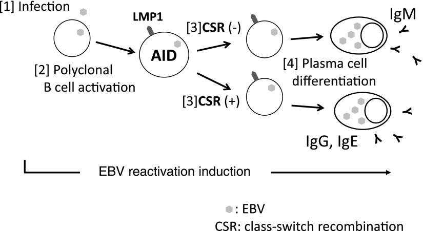 FIG. 6.
