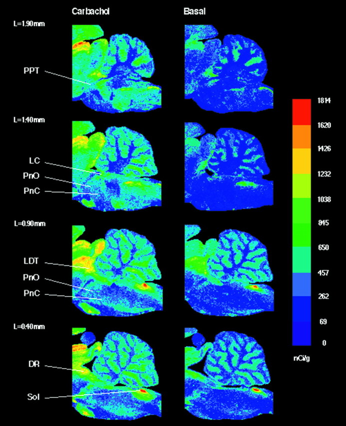 Fig. 3.