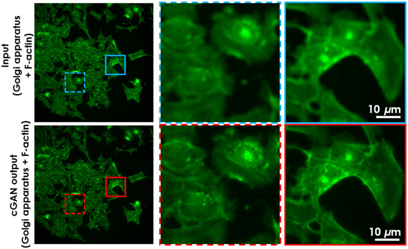 Fig. 4