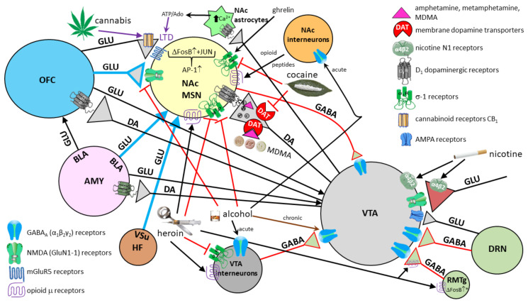 Figure 14