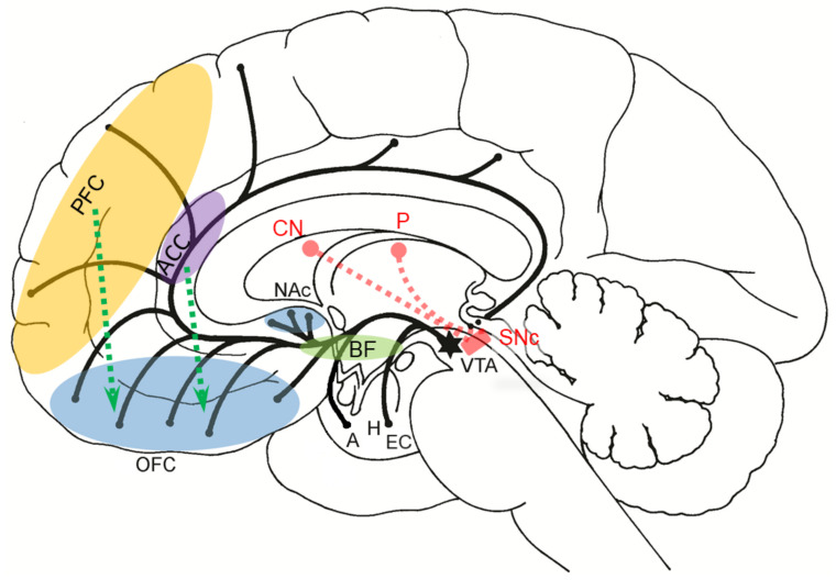 Figure 13