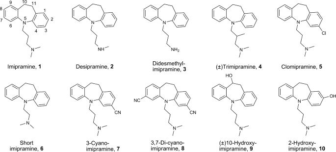 FIGURE 1.