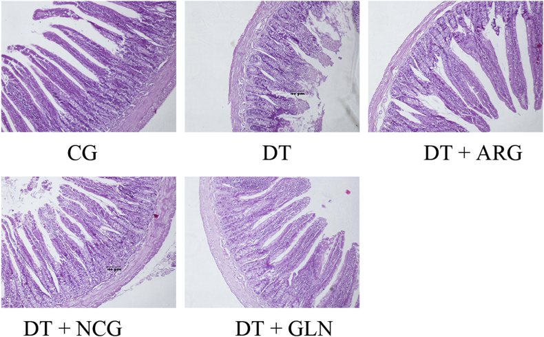 Fig. 1