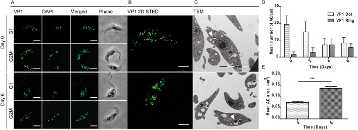 Fig. 6.