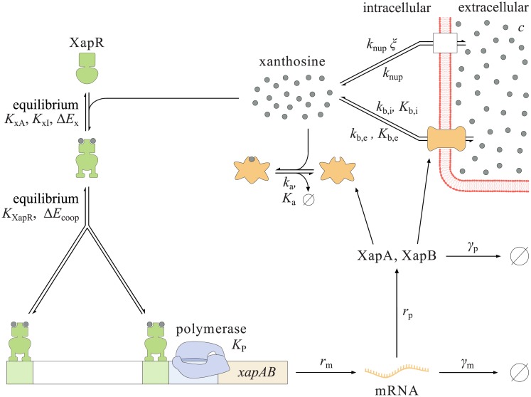 Fig 3