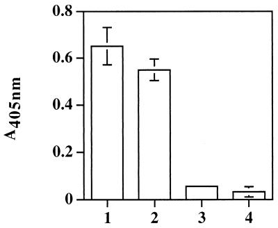 FIG. 6