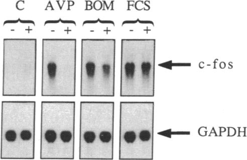 graphic file with name pnas00249-0226-a.jpg