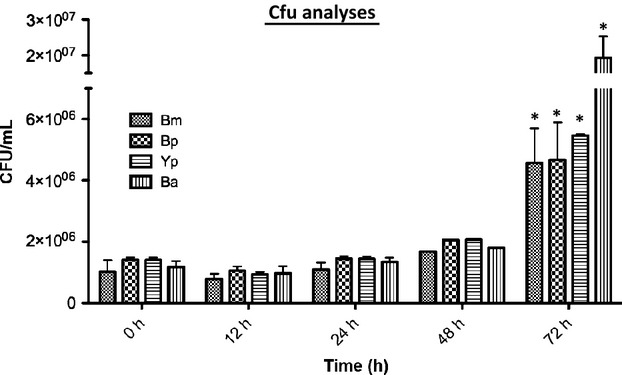 Figure 11