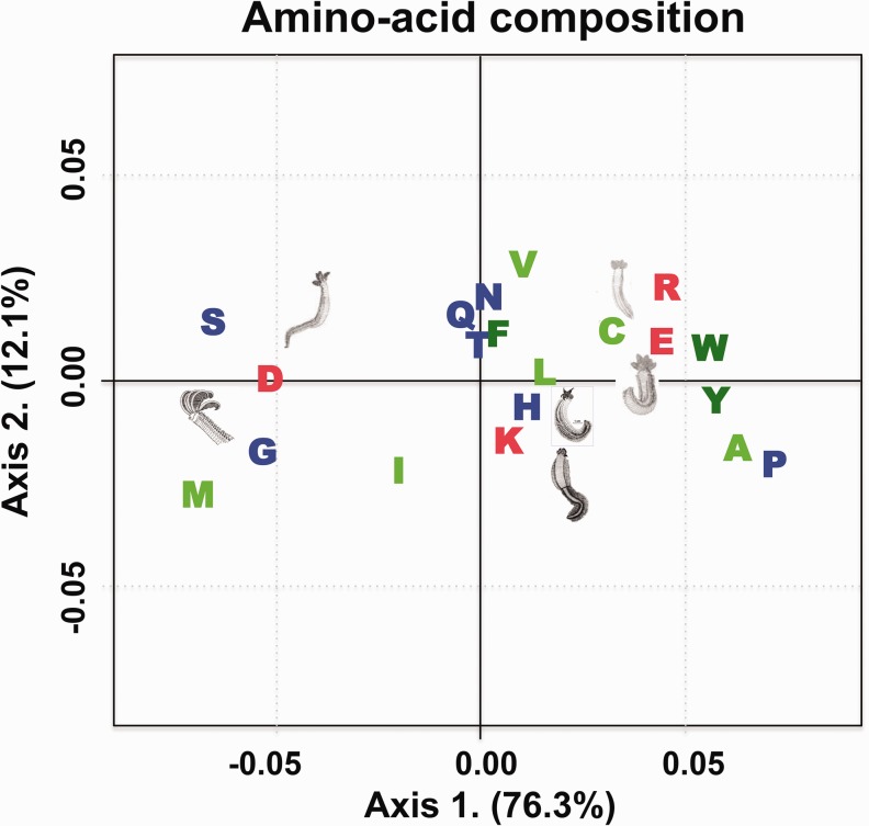 Fig. 2.—