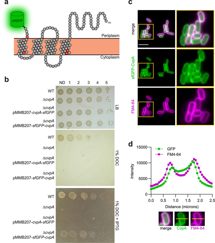 FIG 1