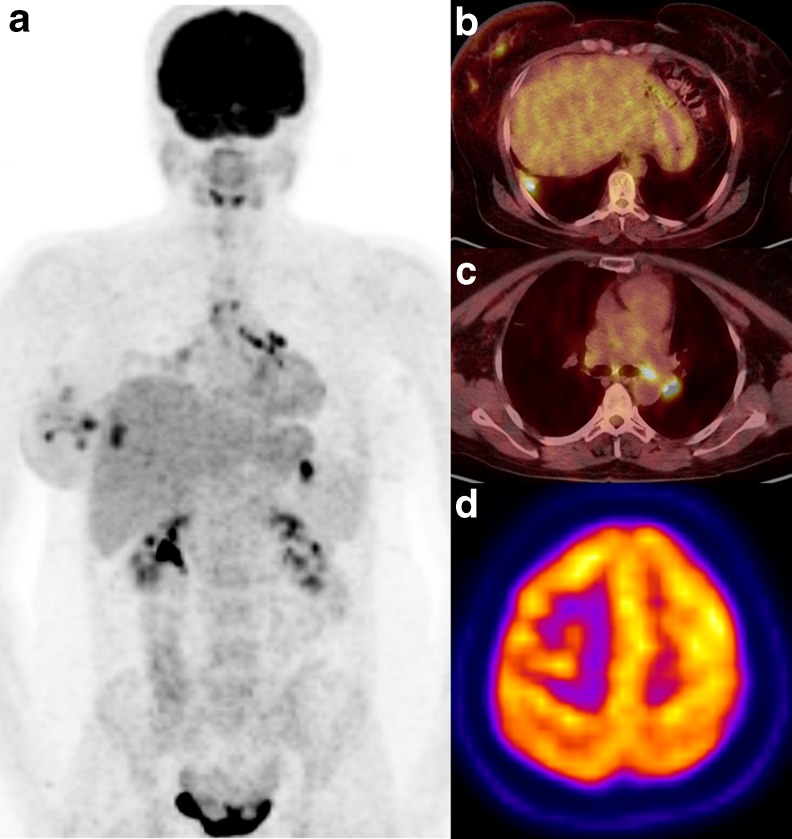 Fig. 3