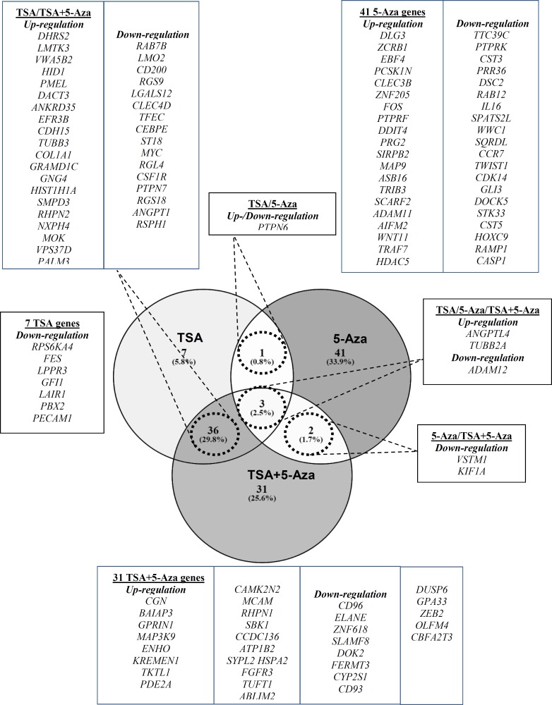 Figure 3(b)