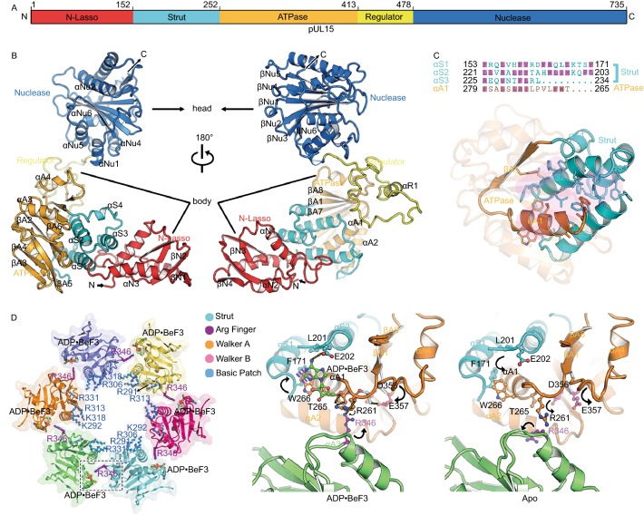 Figure 2