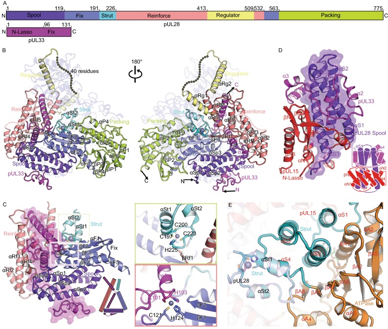 Figure 3