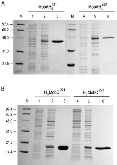 FIG. 2.