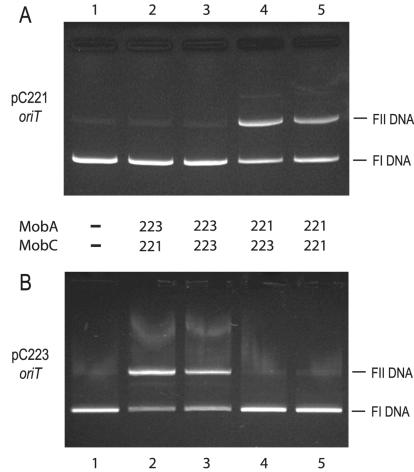 FIG. 8.