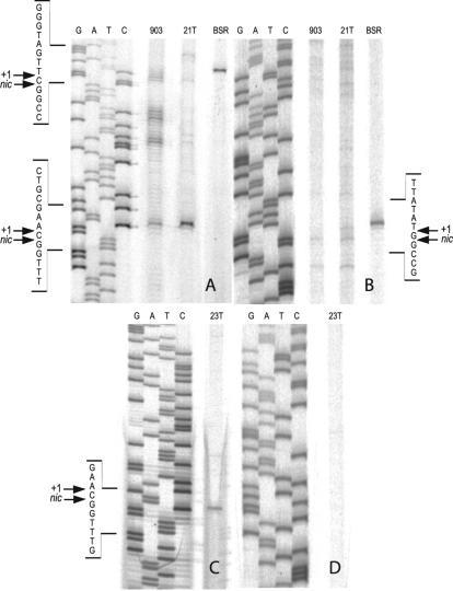 FIG. 7.