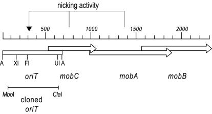 FIG. 1.