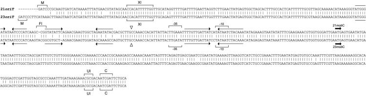 FIG. 9.