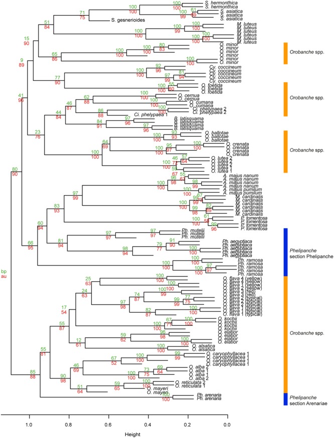 FIGURE 3