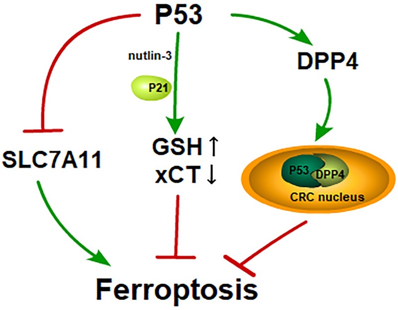 FIGURE 2