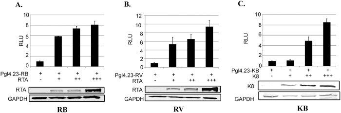 Fig 5