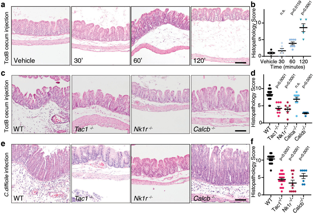 Fig. 1: