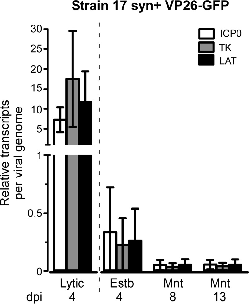 FIG 6