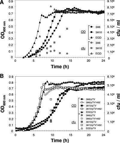 FIG. 3.