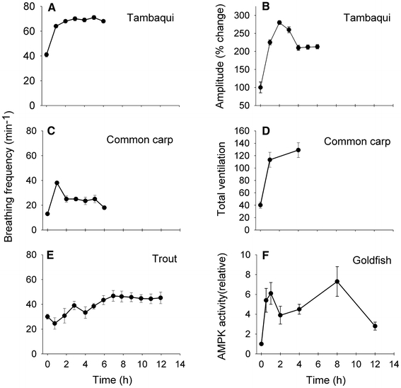 Fig. 3