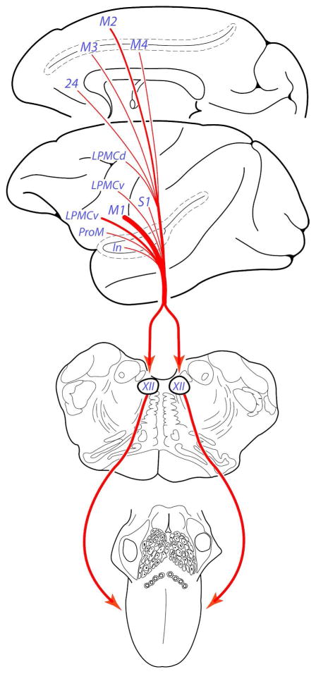 Figure 14