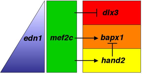 Fig. 9