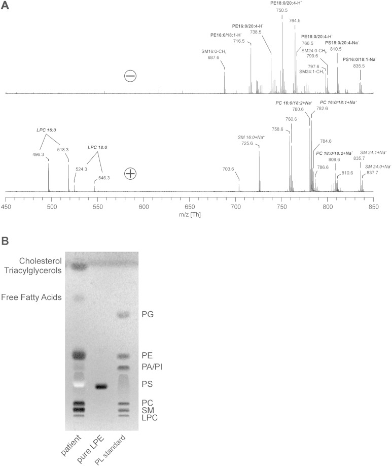 Fig. 3