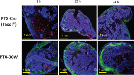 Figure 4: