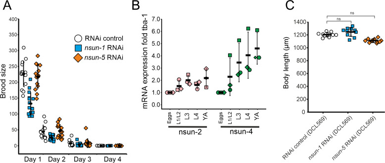 Figure 3—figure supplement 1.