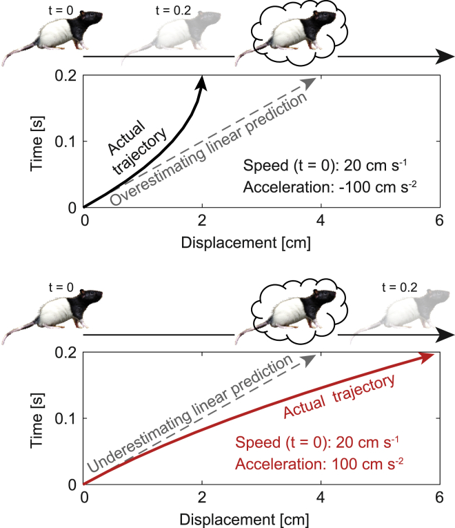 Figure 7