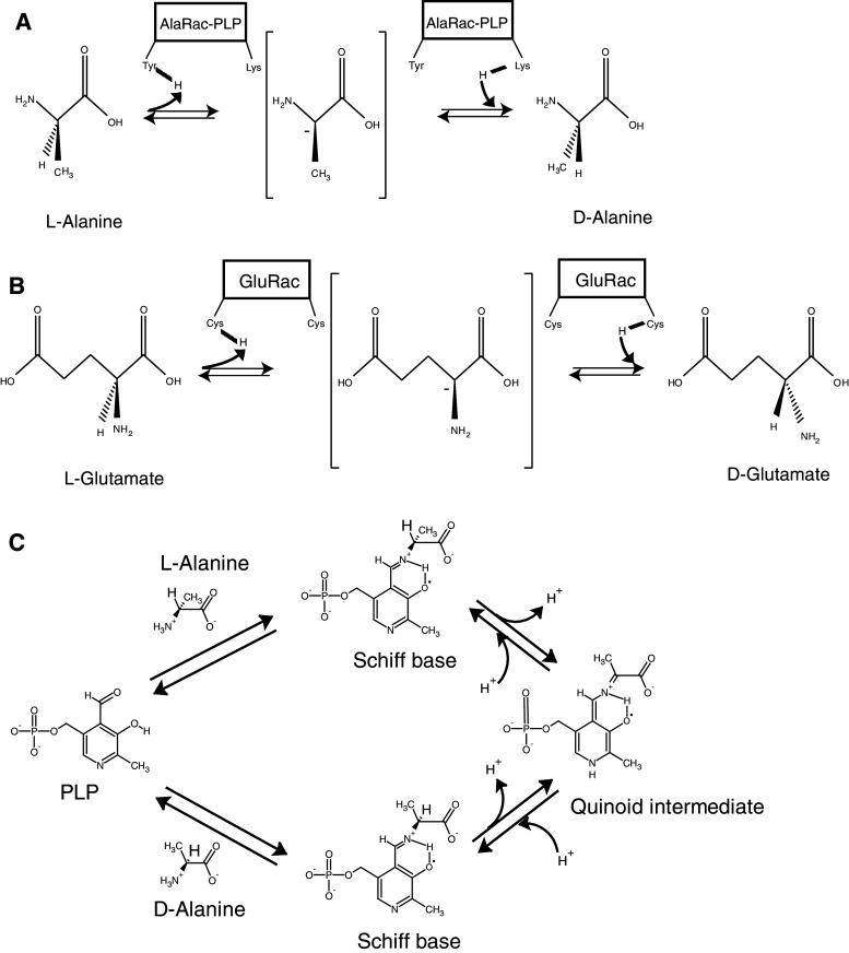 Fig. 3