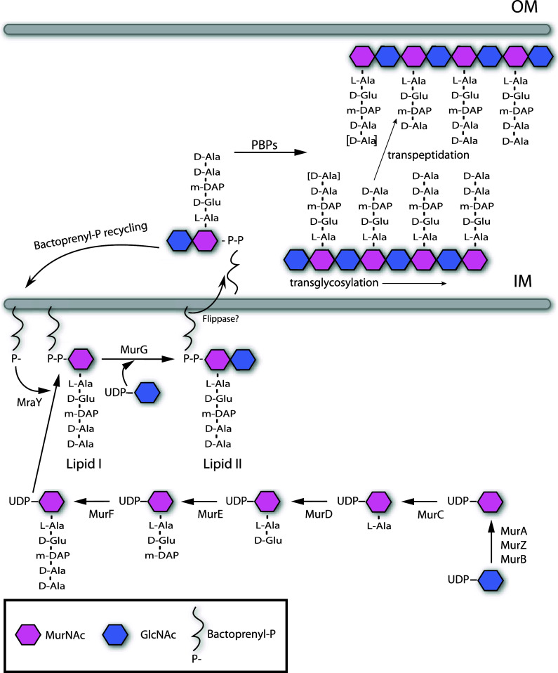 Fig. 2