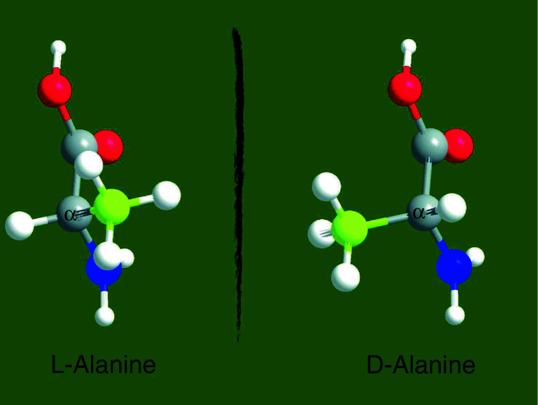 Fig. 1