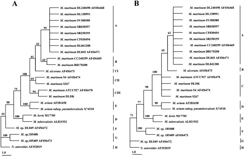 FIG. 2.