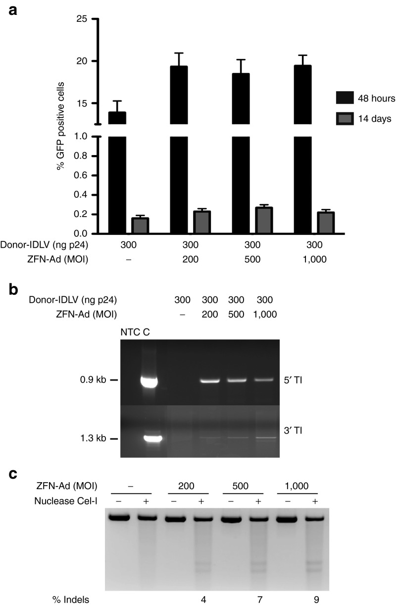 Figure 5