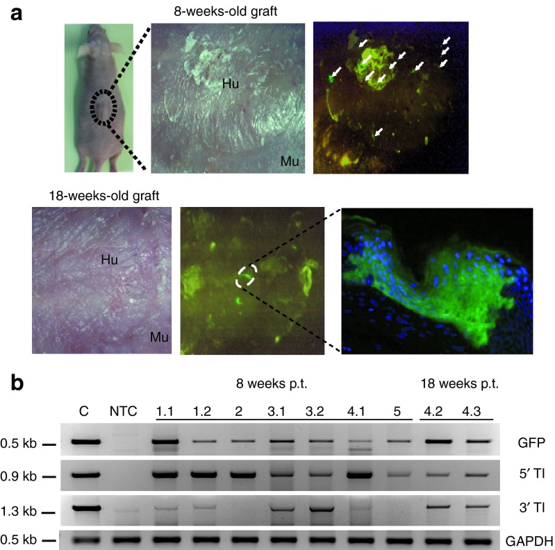 Figure 6